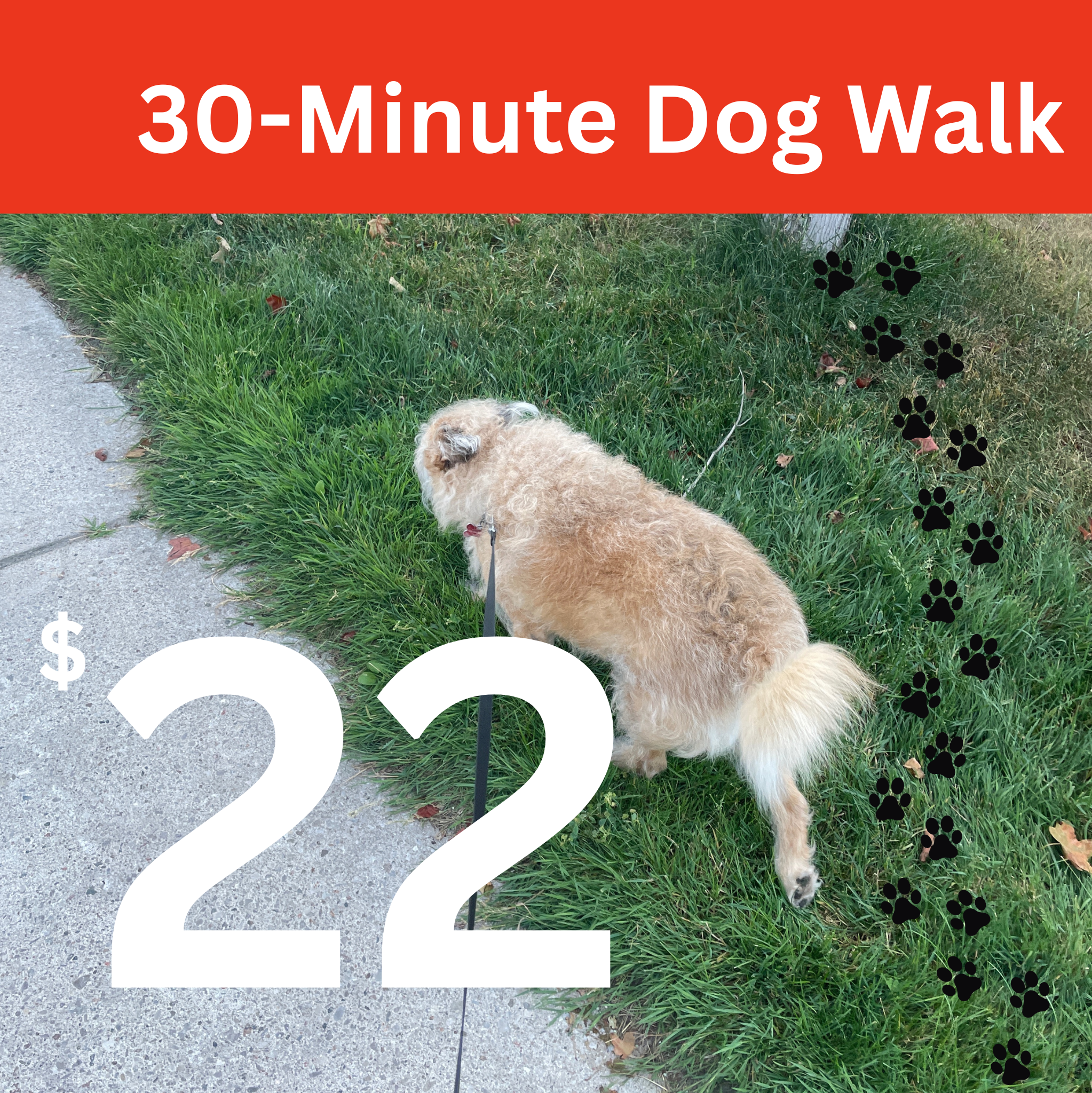 30-Minute Dog Walk