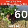 Happy Pup Pack 3 x 30-Minute Walks for $60